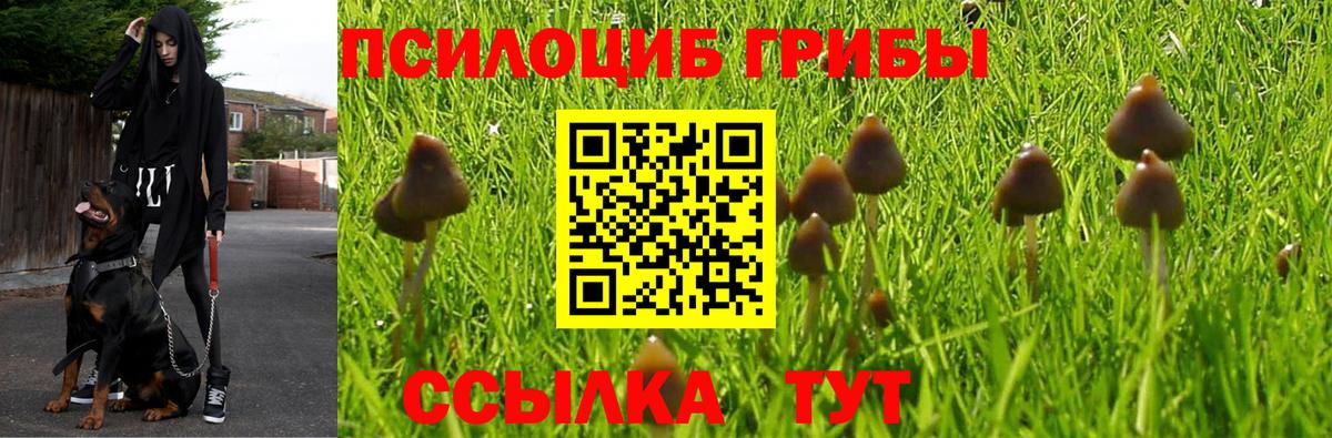 Галлюциногенные грибы мухоморы Энгельс
